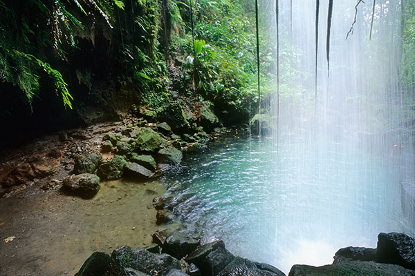 Emerald Pool, Dominica