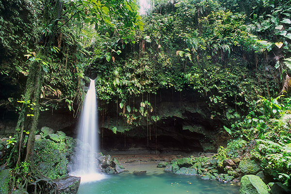 Emerald Pool, Dominica