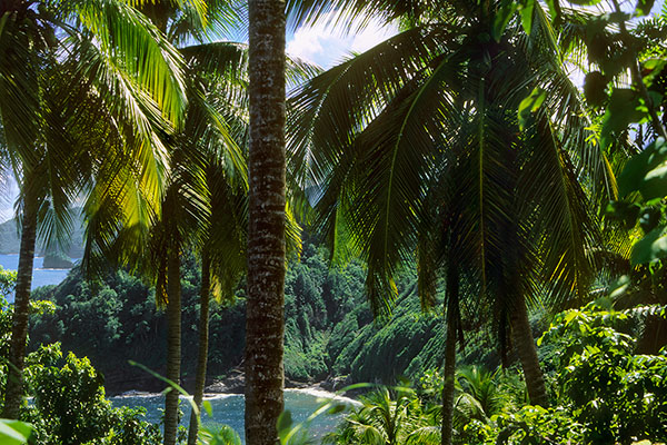 Indented Coastline, Dominica