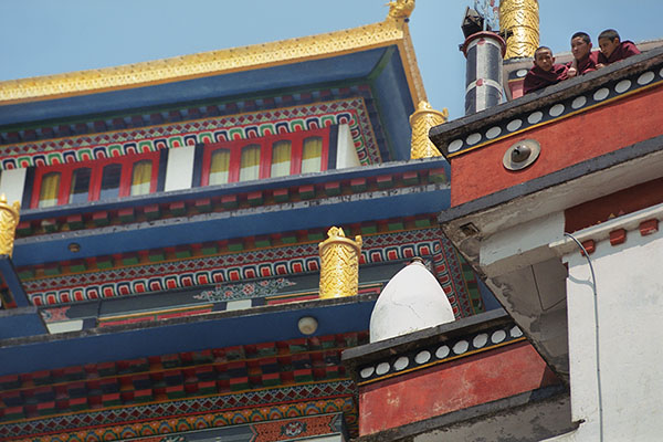 Young Buddhist Monks, Darjeeling, India
