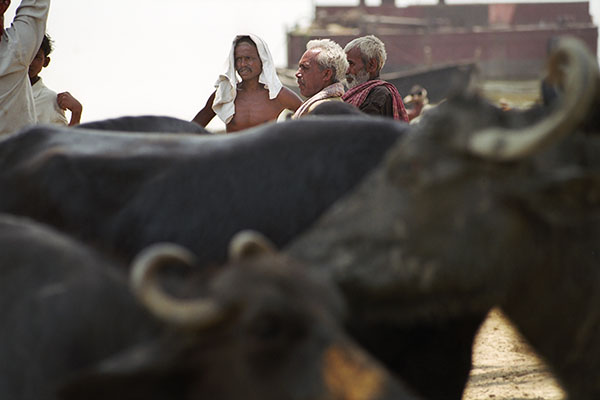 Life in Ganges Delta, India