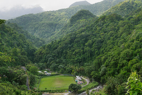 Football Pitch In the Middle Of The Jungle, Martinique