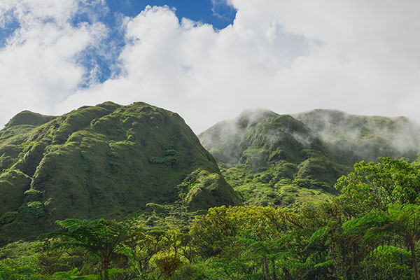 Mount Peleé Volcano, Martinique