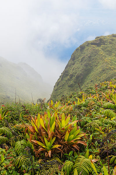 Top Of Mount Peleé, Martinique