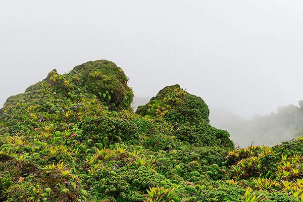 Mount Peleé Volcano, Martinique