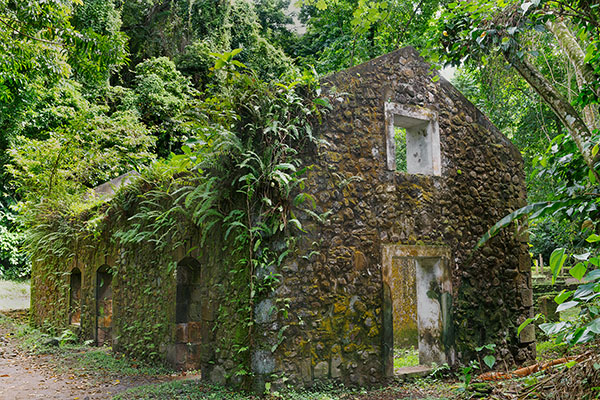 Ruins Of A Rum Distillery, Martinique