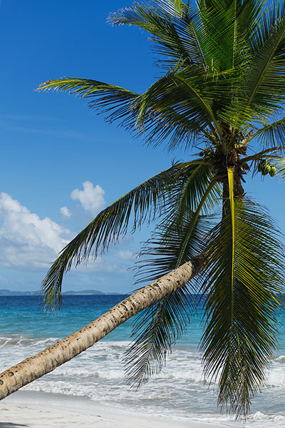 Diamant Beach, Martinique