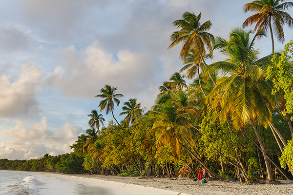 Les Salines Beach, Martinique