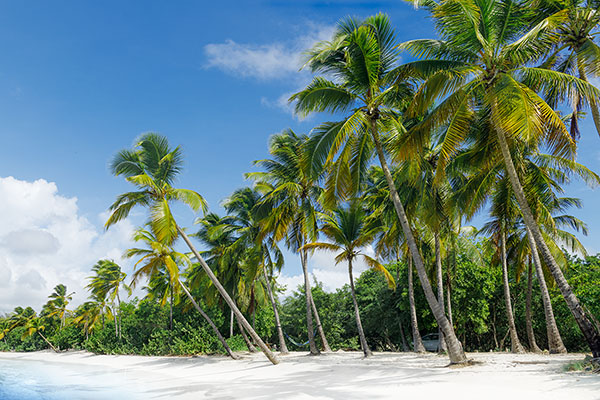 Les Salines Beach, Martinique