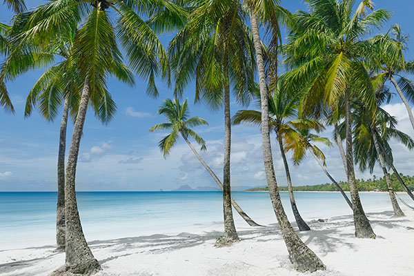 Les Salines Beach, Martinique
