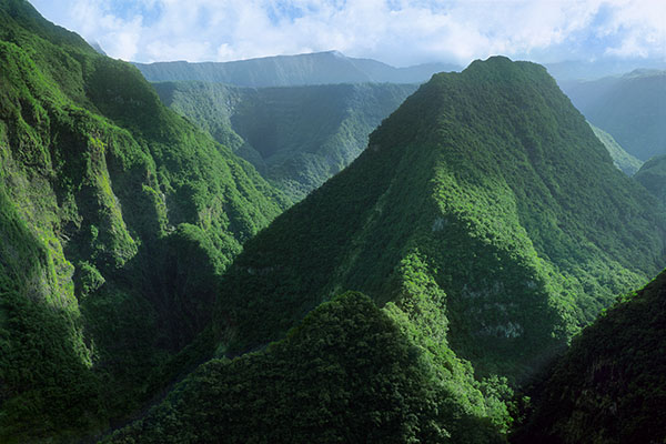 Takamaka Valley, Reunion