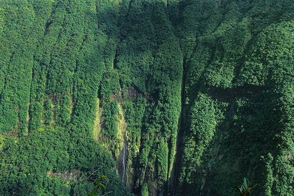 Takamaka Valley, Reunion