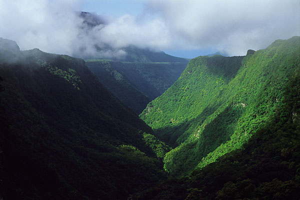 Takamaka Valley, Reunion