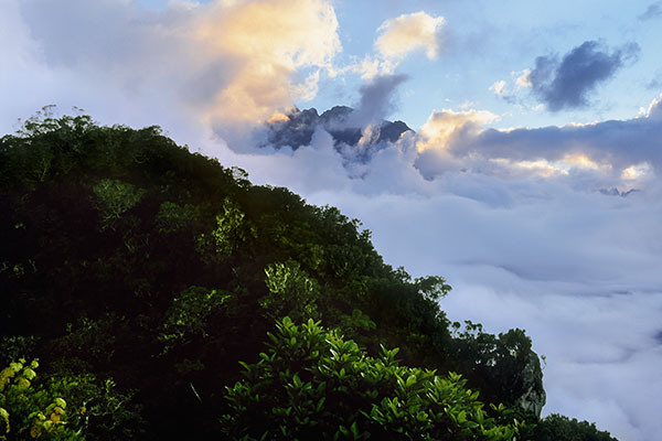 Cirque of Salazie, Reunion