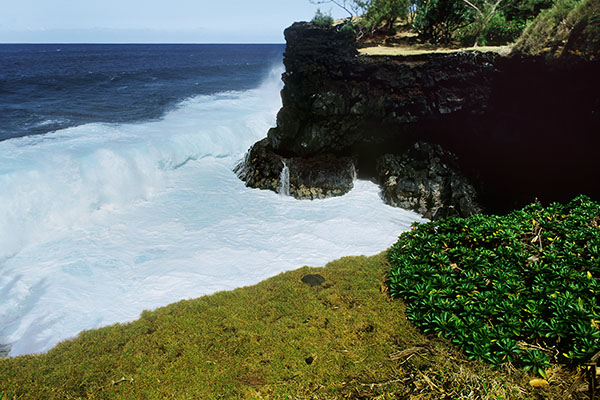 Southern Seashore, Reunion