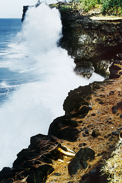 Southern Lava Field Seashore, Reunion