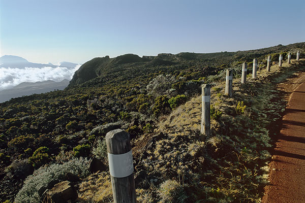 Road to Piton de la Fournaise, Reunion