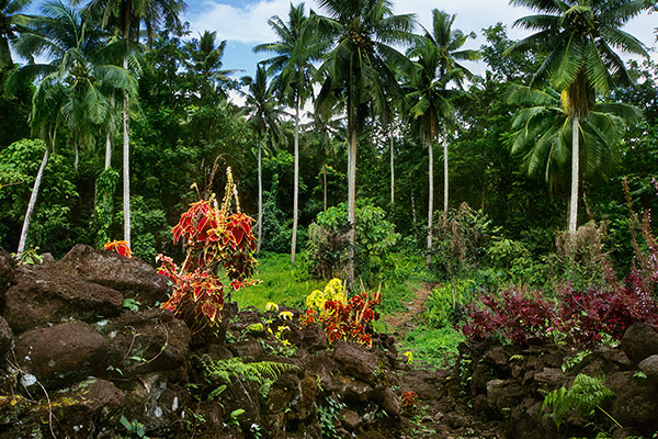 Pulemelei Mound, Savai’i Island, Samoa
