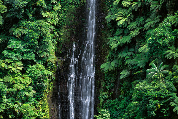 Papapapaitai Falls, Upolu Island, Samoa