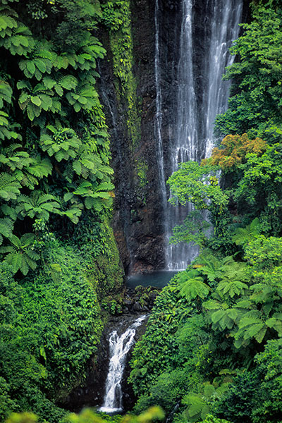 Papapapaitai Falls, Upolu Island, Samoa