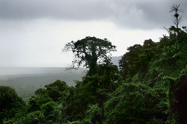 Midland Plateau, Upolu Island, Samoa