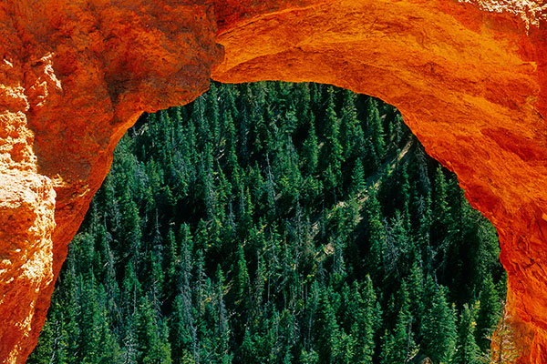 Bryce Canyon NP, USA