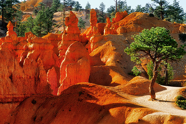 Bryce Canyon NP, USA