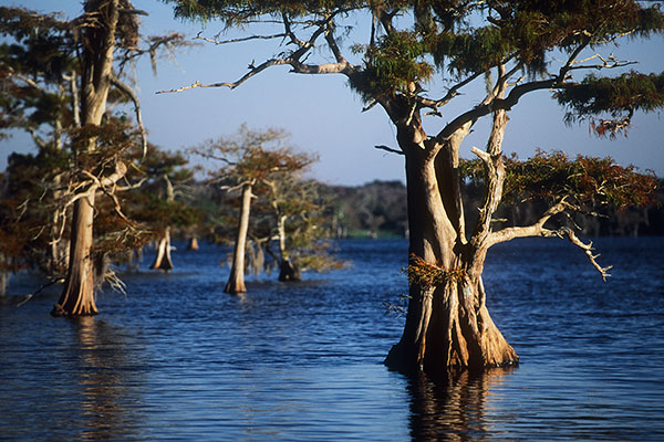 Blue Lake, Florida, USA