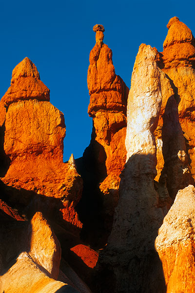 Bryce Canyon NP, USA