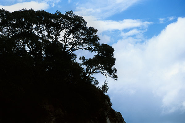 Coromandel Peninsula, New Zealand