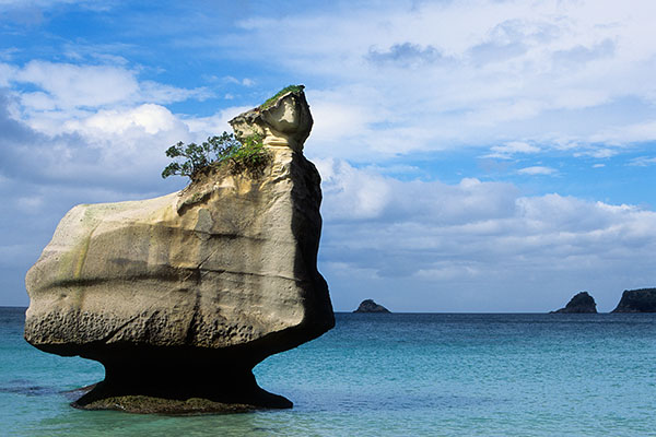 Cathedral Cove, New Zealand