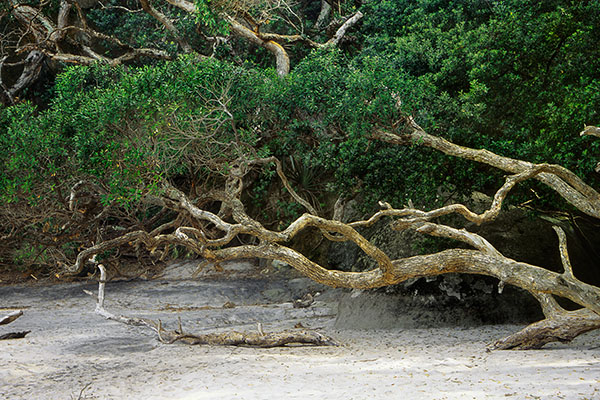 Cathedral Cove, New Zealand