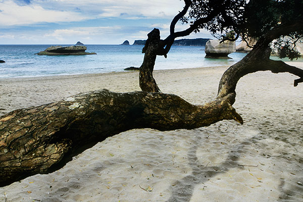 Cathedral Cove, New Zealand