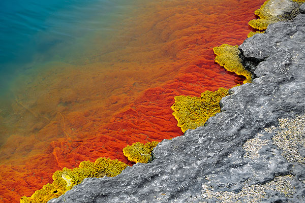 Wai-O-Tapu Geothermal Wonderland, New Zealand