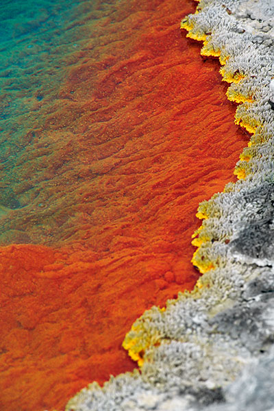 Wai-O-Tapu Geothermal Wonderland, New Zealand