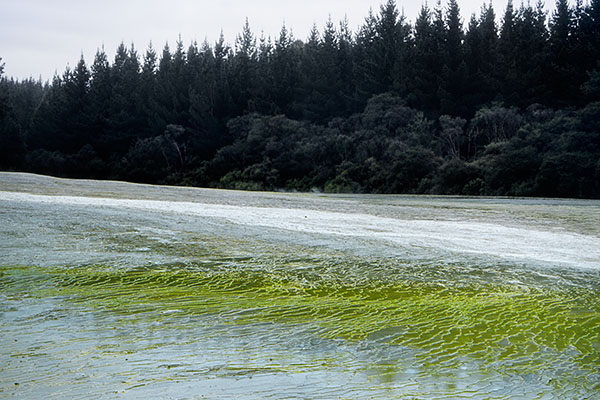 Wai-O-Tapu Geothermal Wonderland, New Zealand