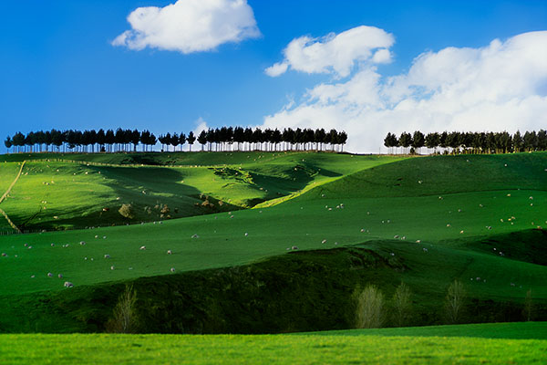South Island, New Zealand