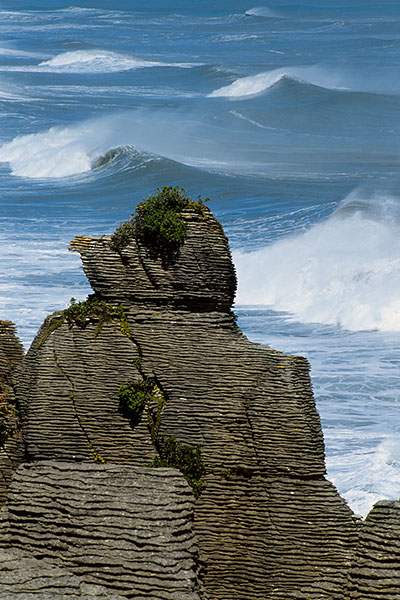 Punakaiki, West Coast, New Zealand