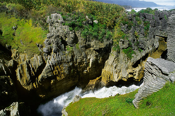 Jagged West Coast, South Island, New Zealand