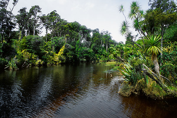 West Coast, New Zealand