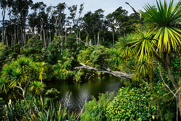 West Coast, South Island, New Zealand