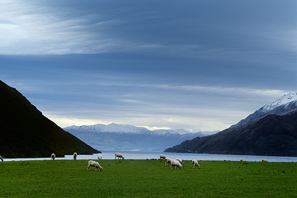 Lake Hawea, New Zealand