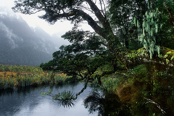 Fiordland National Park, New Zealand