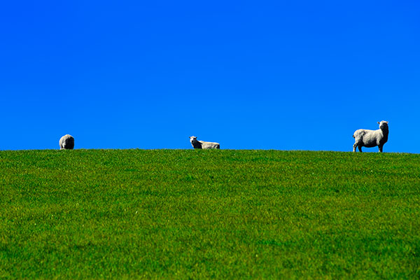 South Island, New Zealand