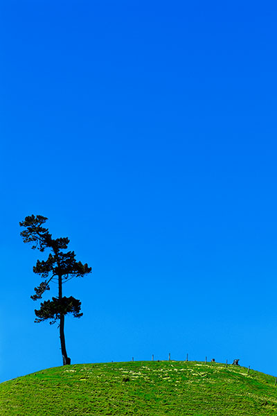 Kaikoura, New Zealand